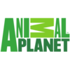 animal channel